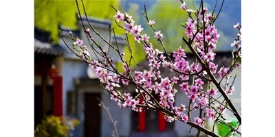 陽春三月，臺(tái)群精機(jī)一大波展會(huì)即將來襲，您準(zhǔn)備好了嗎？