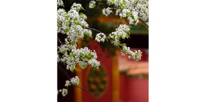 【展會(huì)資訊】臺(tái)群精機(jī)5月展會(huì)一覽，等您來參觀！